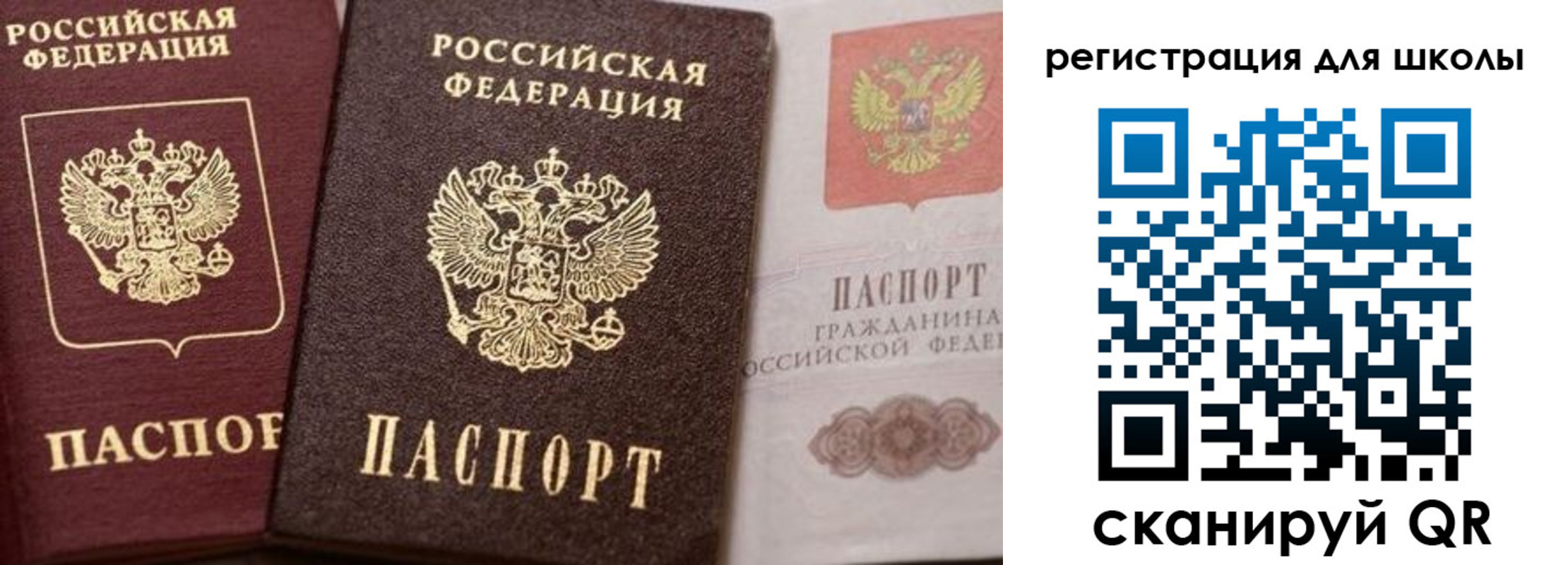 прописка штамп в Красноармейске
